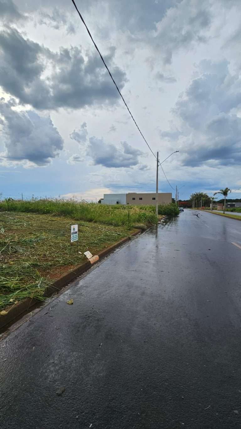 WhatsApp-Image-2025-12-15-at-16.24.40