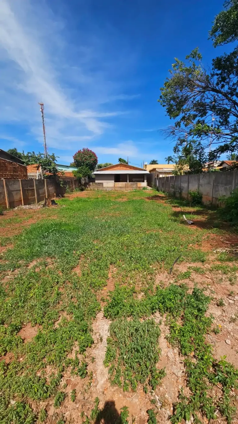 WhatsApp-Image-2026-03-11-at-11.43.20