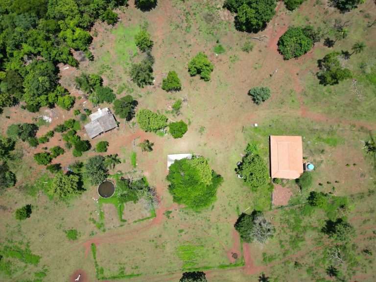 Imagem-do-WhatsApp-de-2024-12-19-as-09.45.44_7f6a161b